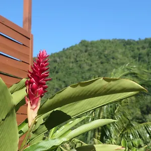 Hébergement de vacances Bougain Fleuri, Deshaies
